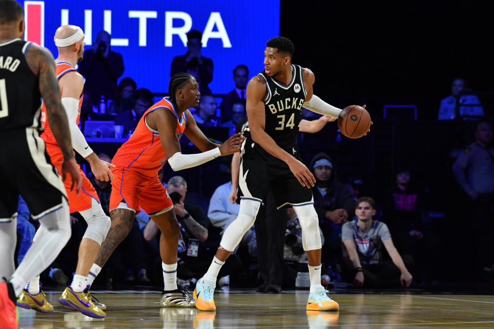 马的比赛中 马的比赛中